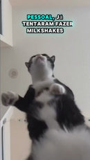 Batedor de Milk Shake SD 3000 1200 watts